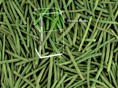 Test Content 20250408